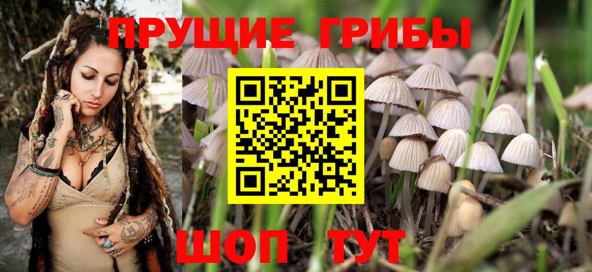 Псилоцибиновые грибы GOLDEN TEACHER  Вход с VPN  Скопин  Галлюциногенные грибы ЛСД 